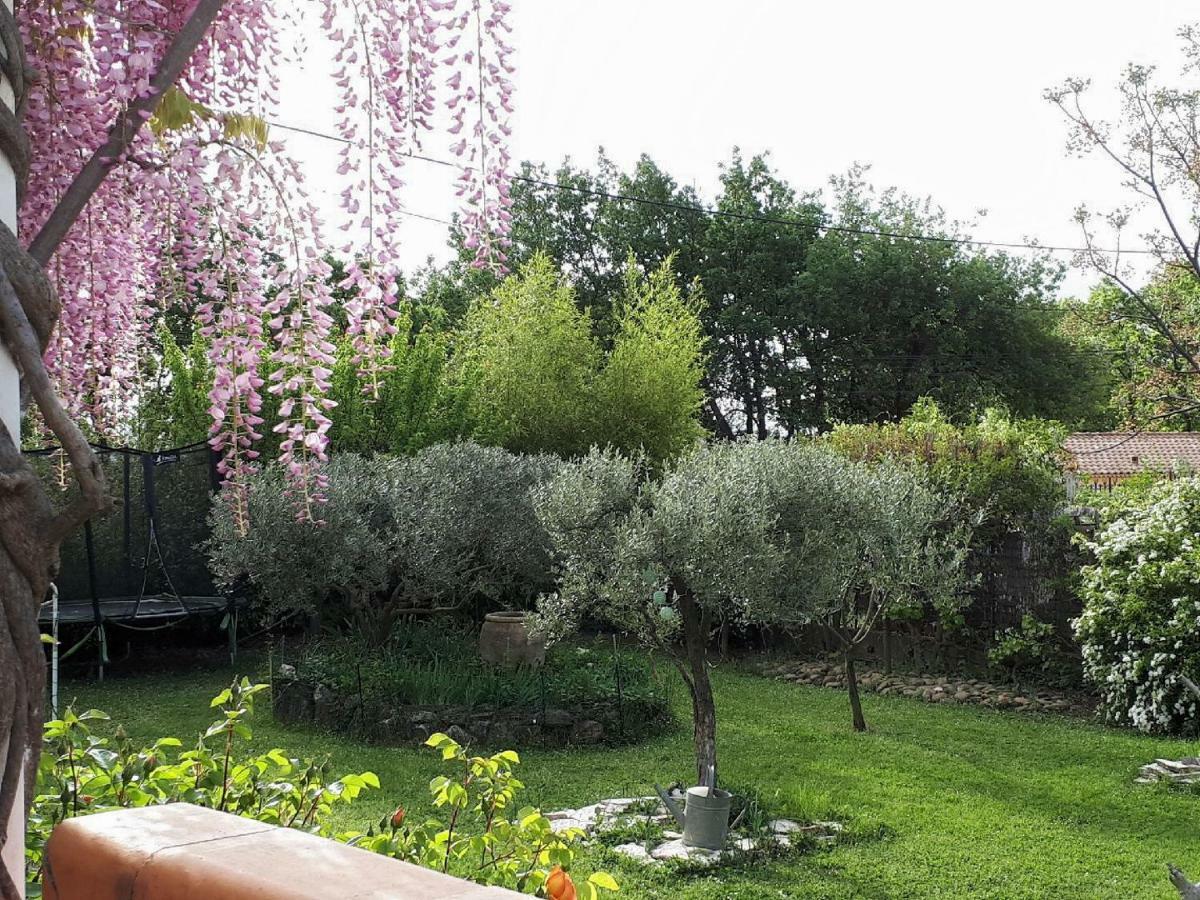 Chambre D'Hotes Le Cocon Saint-Genies-de-Malgoires المظهر الخارجي الصورة